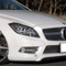 Carlsson C218 AMG SportsPackageV[J[