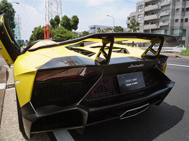 Lanborghini Aventador LP720-4 50 DMCJ[{AEB