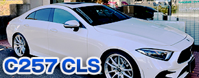 C257 CLS