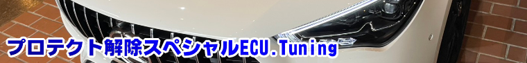 �v���e�N�g���� �X�y�V����ECU. Tuning