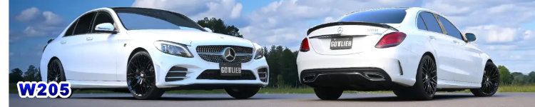 GOTTLIEB BODY KIT W205