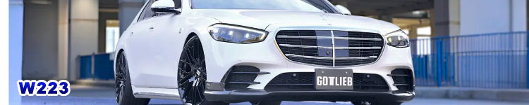 GOTTLIEB BODY KIT W223